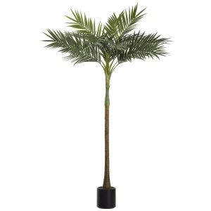 10' Alexandra King Palm Leaf Silk Tree w/Pot -Green