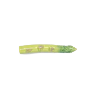 Chopstick Holder - Asparagus