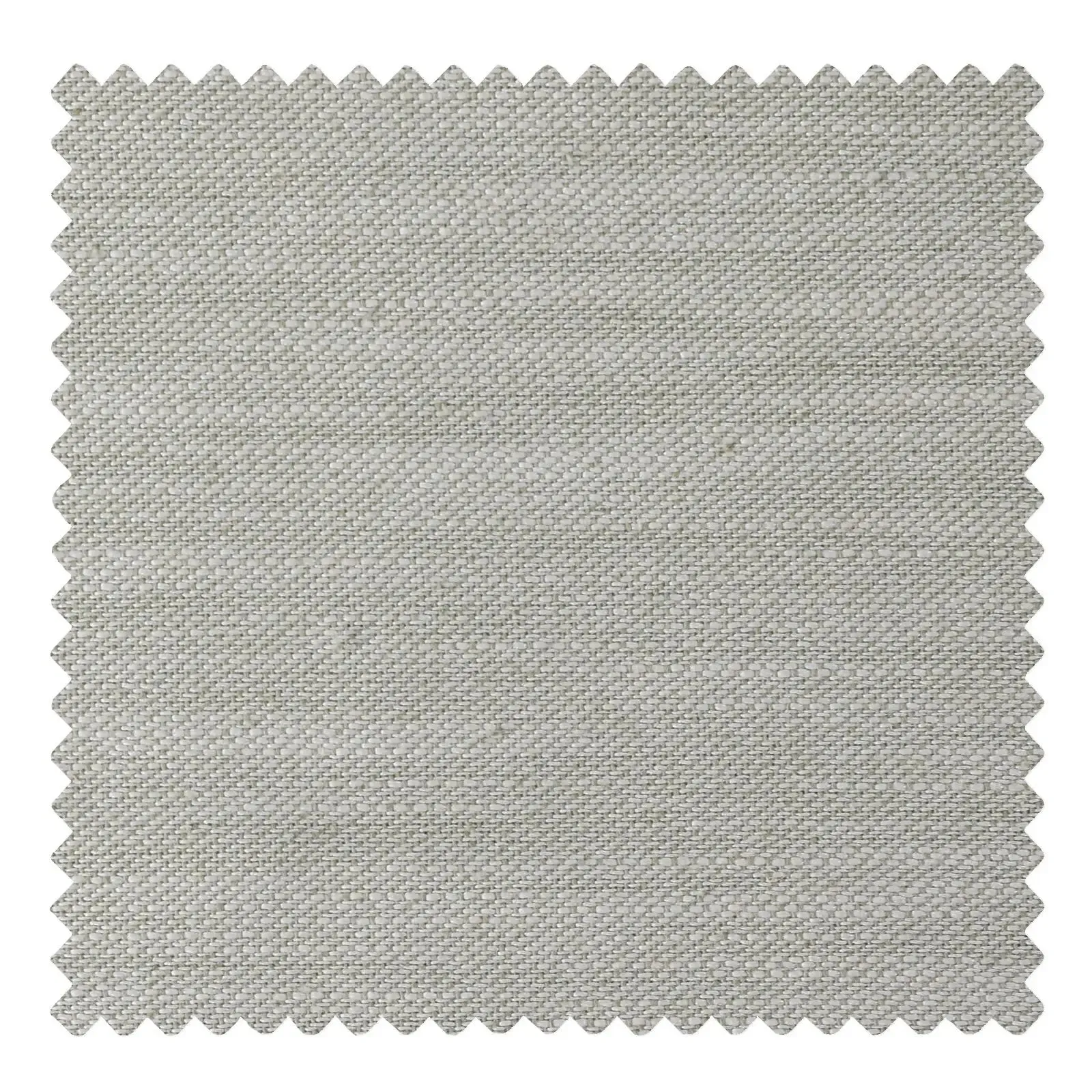 CL19 Birch