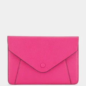 Envelope Passport Holder