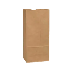 Kraft Paper Bag #20