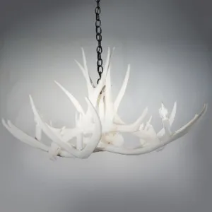 Mule Deer 6 White Antler Chandelier