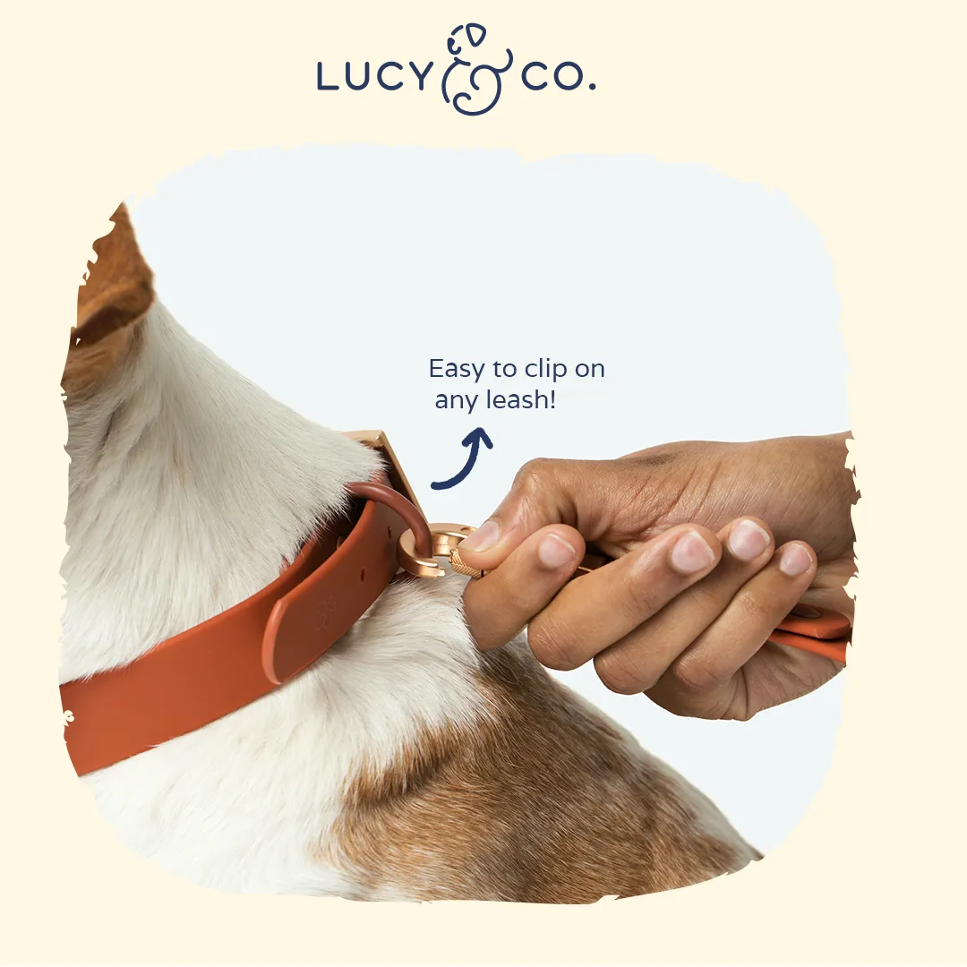 Terracotta Waterproof PVC Collar