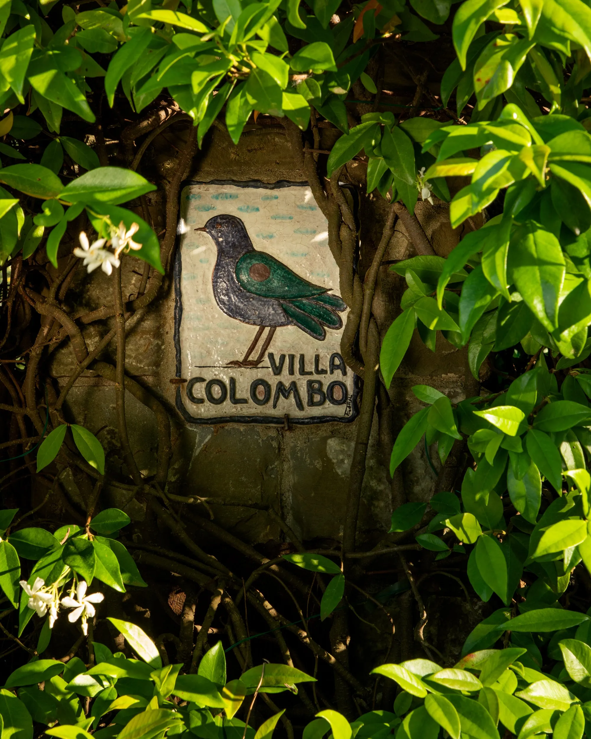 Villa Colombo La Candela